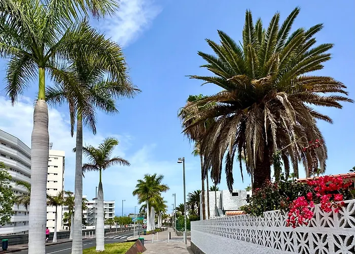 Fantastic Vacation By The Ocean Playa de las Americas (Tenerife)