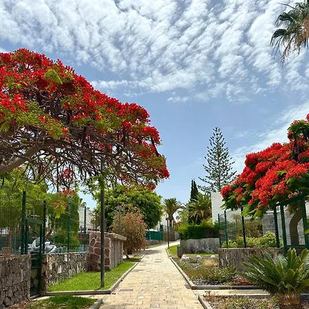 Lägenhet Fantastic Vacation By The Ocean Playa de las Americas (Tenerife)