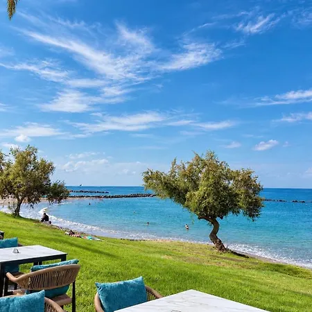 Fantastic Vacation By The Ocean Apartment