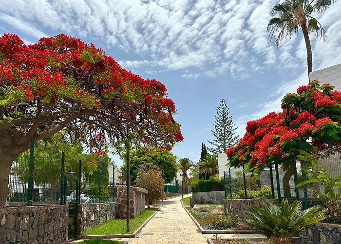 아파트 Fantastic Vacation By The Ocean 플라야데라스아메리카스